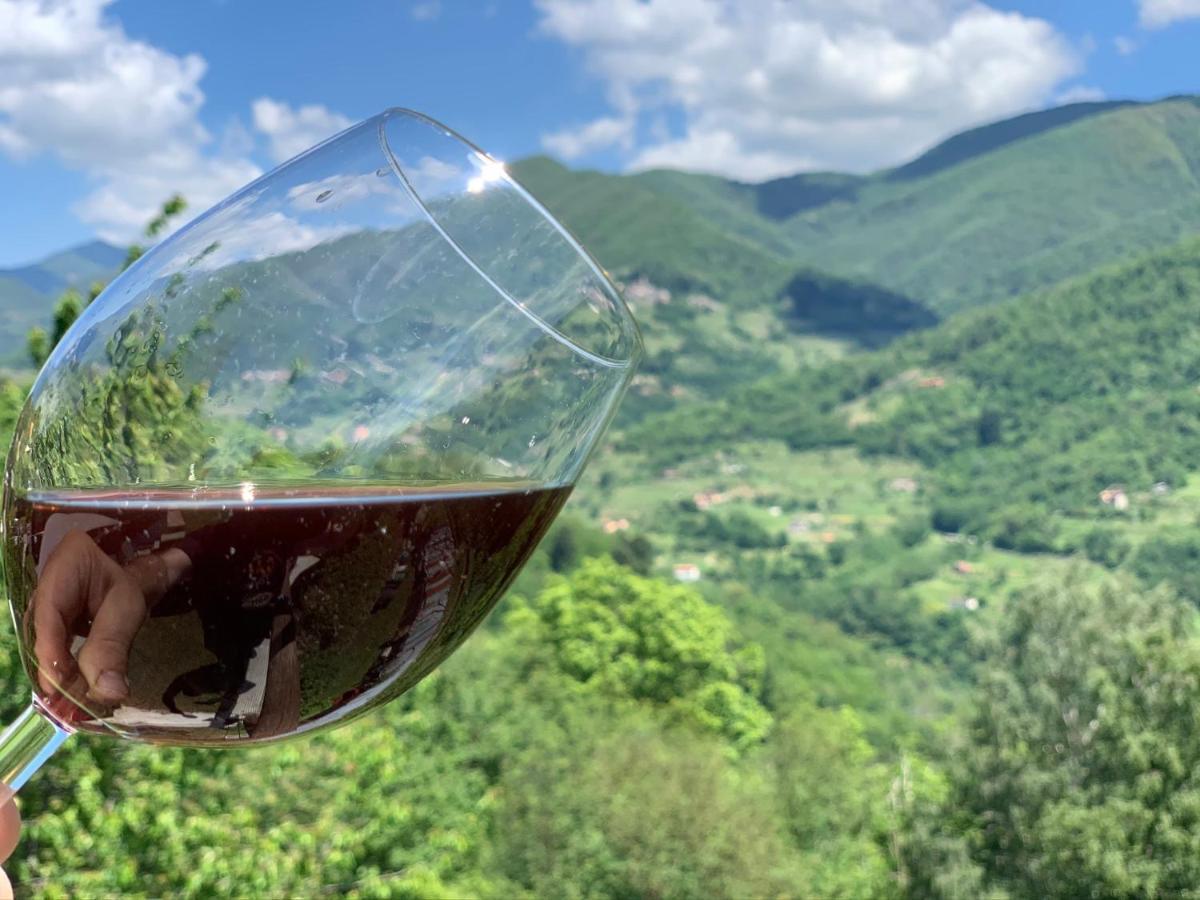 Casa Emma Fiattone In Garfagnana Villa Dış mekan fotoğraf